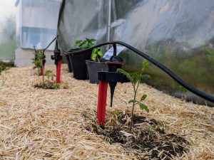 Arrosage-goutte-a-goutte-par-gravite-decouvrez-son-fonctionnement-et-ses-avantages