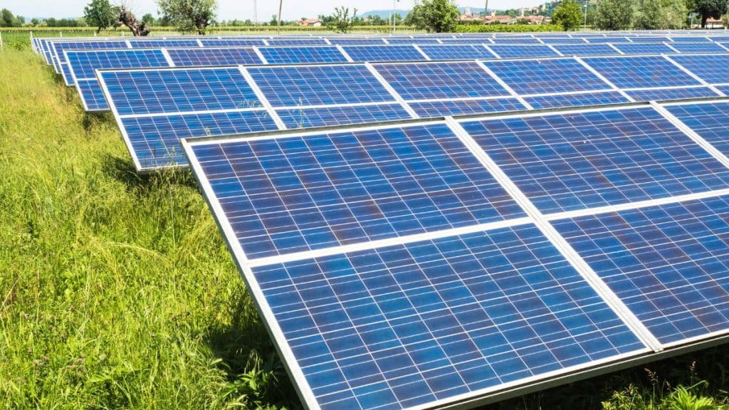 Quand nettoyer les panneaux photovoltaïques ?