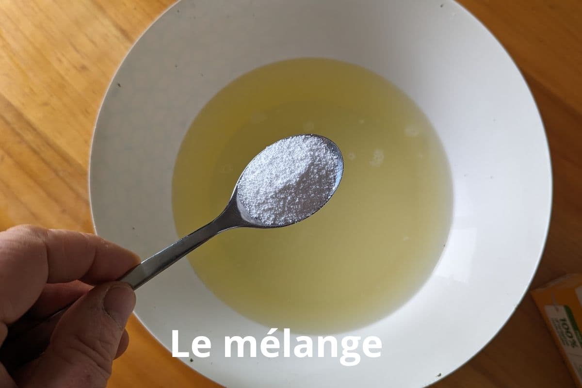 le mélange à base de savon noir et de cristaux de soude