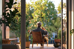 pins nains en pot pour balcon