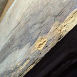 traiter charpente contre la vrillette